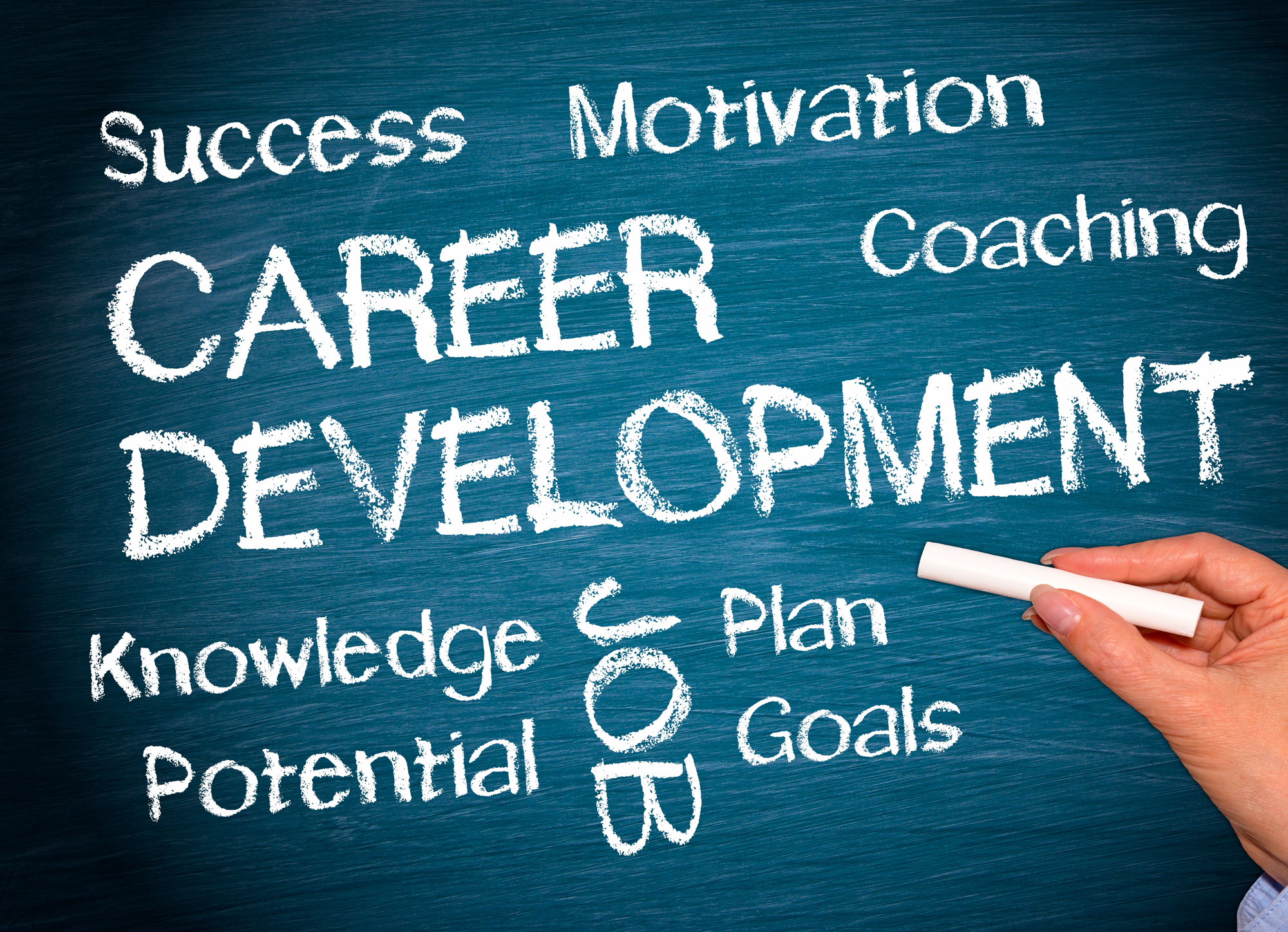 Career Management Services